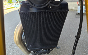 TRIUMPH SPEED 400 2024 T127Y8