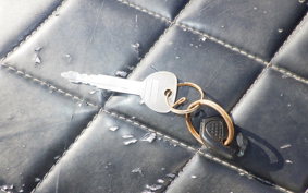 OTHER +UNREGISTERED MODEL by BDS TRIKE