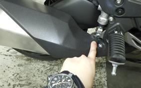 KAWASAKI NINJA 1100SX 2025 ZXT10H