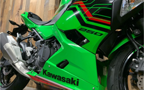 KAWASAKI NINJA 250 KRT ED EX250Y