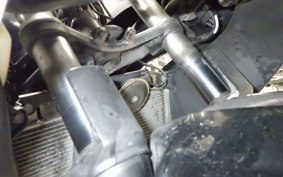 KAWASAKI NINJA 250 EX250L