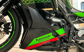KAWASAKI NINJA ZX-25R KRT ED ZX250E