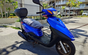 YAMAHA AKUSHI STREET SE53J