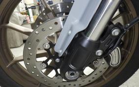 HARLEY FXLRST1920 2025