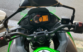 KAWASAKI VERSYS-X 250 ABS LE250D