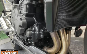 TRIUMPH スピトリ1200RR 2023 S3P02S