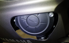 YAMAHA YZF-R25 A 2024 RG43J