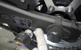 KAWASAKI ZX-4RR 2024 ZX400P