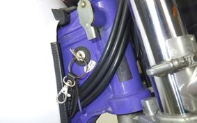 YAMAHA TT250R RAID 4GY