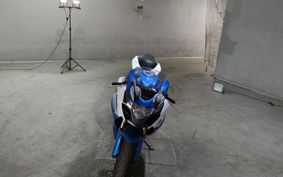 SUZUKI GSX-R1000 CY111