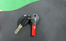 DUCATI 1299PANIGA-RES 2015 ZDMH905JAFB