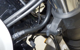 HONDA GB350S 2024 NC59