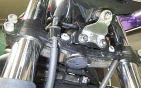 KAWASAKI Z650 RS 2024 ER650R