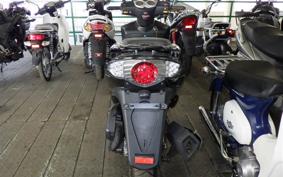 OTHER UNREGISTERED MODEL by BDS125