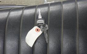 KAWASAKI 250TR 2023 BJ250F