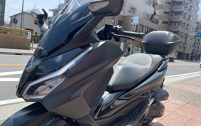 HONDA  FORZA 250 MF17