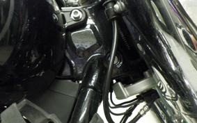 HARLEY FLBS 1870 2021