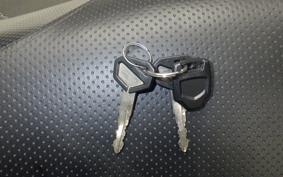 KAWASAKI SUPER SHERPA 2019 KL250G