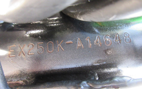 KAWASAKI NINJA 250R EX250K