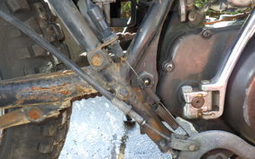 HONDA ELSINORE 250 2002 MT250