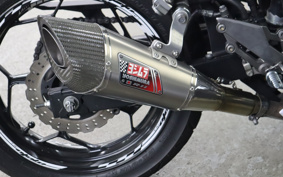 KAWASAKI Z250 ER250C