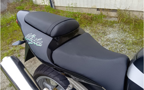 KAWASAKI ZX900R NINJA 2002 00F002