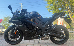 KAWASAKI NINJA 1100SX 2026 ZXT10H