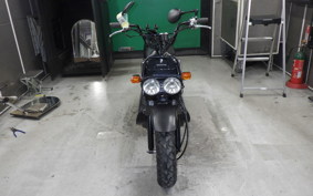 HONDA ZOOMER 2008 AF58