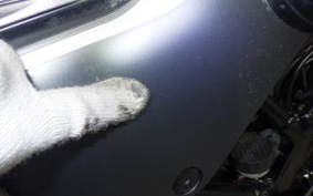 HUSQVARNA SVARTPILEN 250