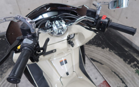 YAMAHA MAXAM 250 SG21J