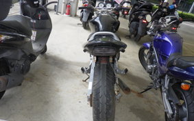 HONDA HORNET 250 MC31