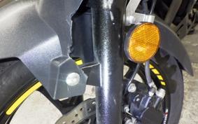 SUZUKI Vｽﾄﾛｰﾑ250A 2024