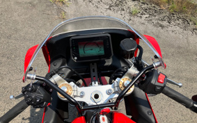 YAMAHA XSR900 GP 2024 RN96J