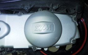 SYM RV125 I Type