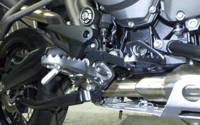 TRIUMPH TIGER 800 2019