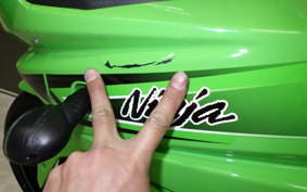 KAWASAKI NINJA 250R 2014 EX250K