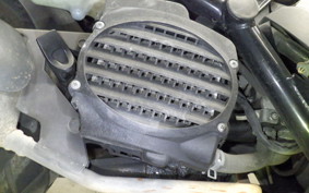 HONDA ZOOMER 2025 AF58