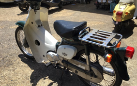 HONDA SUPER CUB50 C50
