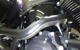 HARLEY FXLRST1920 2025