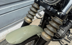 HARLEY FXBBS 2021 YYK