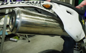 YAMAHA WR250F 2024 CG11W