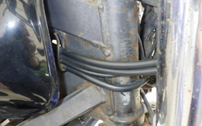 HONDA HORNET 250 MC31