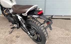 TRIUMPH  TRIUMPH  SCRAMBLER 1200X 2025 DADR0H