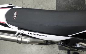 YAMAHA WR250X 2009 DG15J