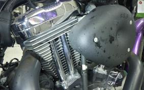HARLEY L1200LI 2006
