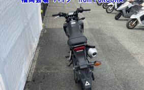 HONDA GROM