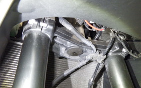 KAWASAKI NINJA 1000 2012