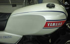 YAMAHA RZ 250 4L3