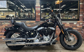 HARLEY FLSTSB 2009 JM5