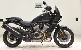 HARLEY PAN AMERICA 1250 S 2024